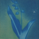 Non era abbellirvi blu #173