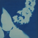 Non era abbellirvi blu #183