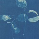 Non era abbellirvi blu #188