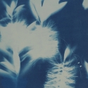 Non era abbellirvi blu #189
