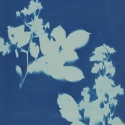 Non era abbellirvi blu #190