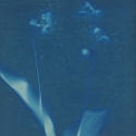 Non era abbellirvi blu #174