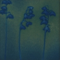 Non era abbellirvi blu #175