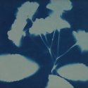 Non era abbellirvi blu #178
