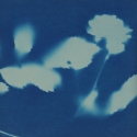 Non era abbellirvi blu #179