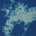 Non era abbellirvi blu #180