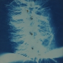 Non era abbellirvi blu #181