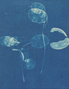Non era abbellirvi blu - opere senza cornice